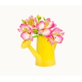 Pink Flowers