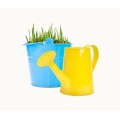 Bucket with Grass