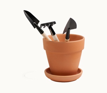 Bucket with Grass