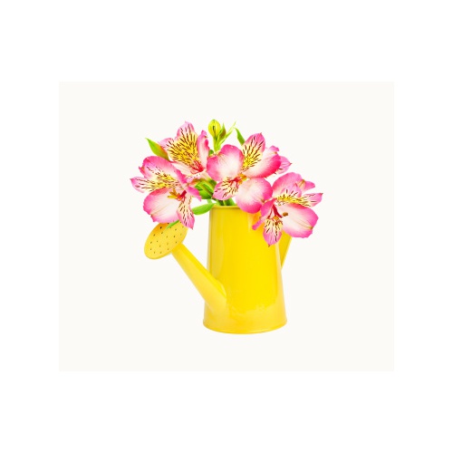 Pink Flowers