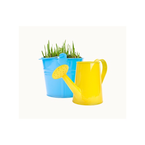 Bucket with Grass