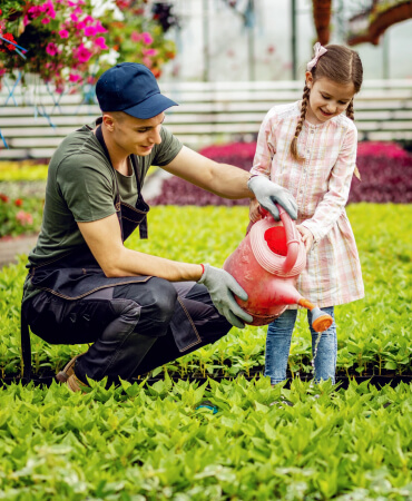 Plants Care