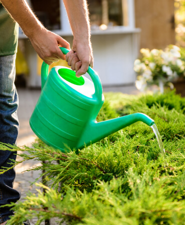 Garden Caring